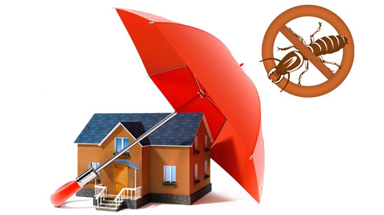 Diệt mối Phú Yên